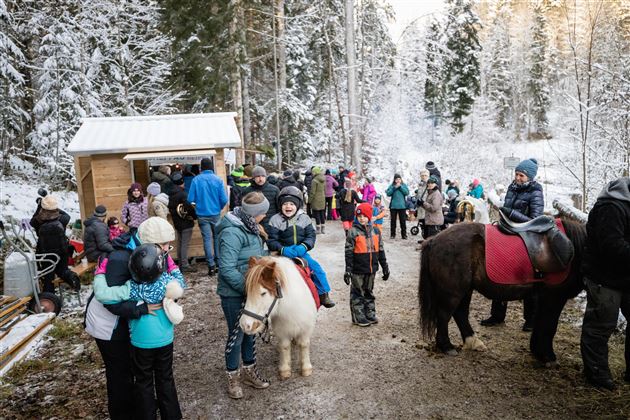 Advent  Ponyreiten