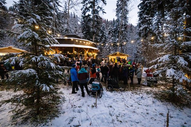 Adventmarkt_Scheffau_Ansicht