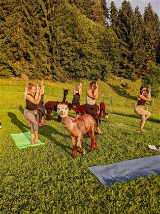 Alapaka Yoga