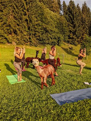 Alapaka Yoga