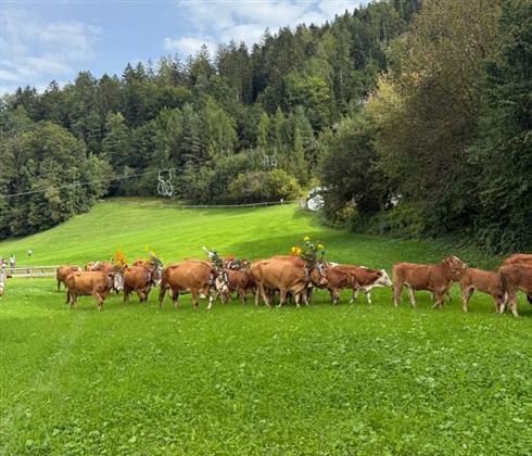 Almabtriebsfest Kufstein