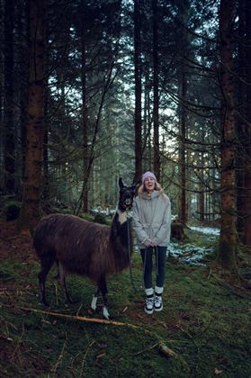 Alpaka @Annamaria Klocker