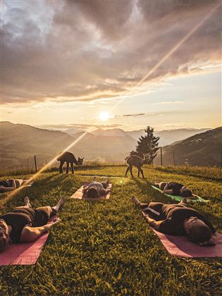Alpaka Yoga Abends