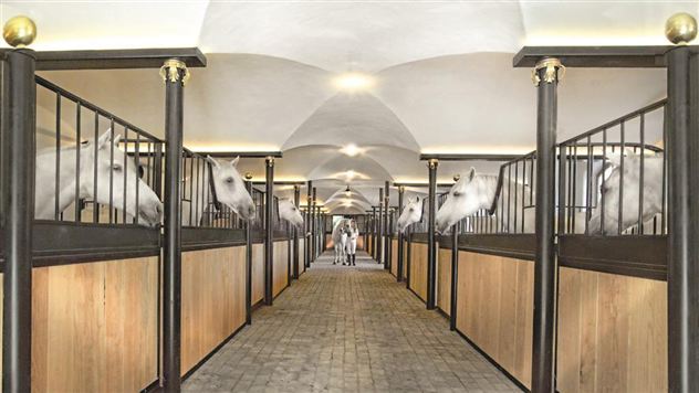 Een elegante paardenstal met meerdere boxen. Witte paarden kijken nieuwsgierig uit hun stallen.