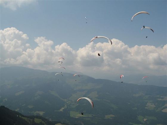 Alpenrosencup