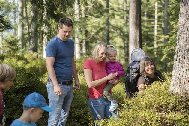 Eine Gruppe von Menschen erkundet den Wald. Einige Kinder und Erwachsene lachen und genießen die Natur.