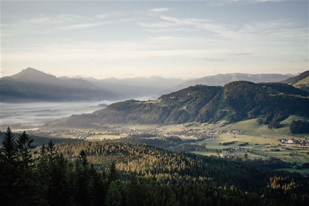 Aussicht Biedringer Platte