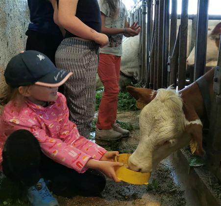 Ein Kind füttert eine Kuh in einem Stall. Einige Personen stehen im Hintergrund und beobachten die Szene.