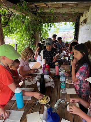Eine Gruppe von Kindern sitzt an einem Tisch im Freien und genießt ein gemeinsames Essen. Die Umgebung ist grün mit Weintrauben, und alle scheinen Spaß zu haben.