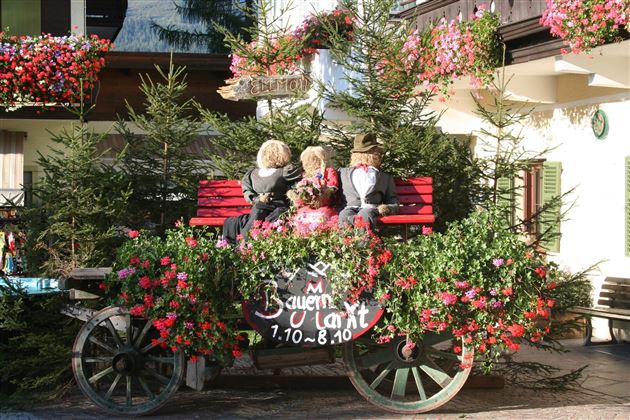 Bauernmarkt 2