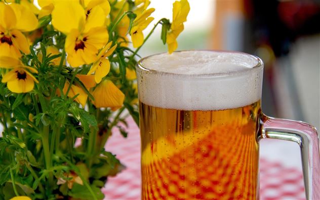 Bier@pixabay