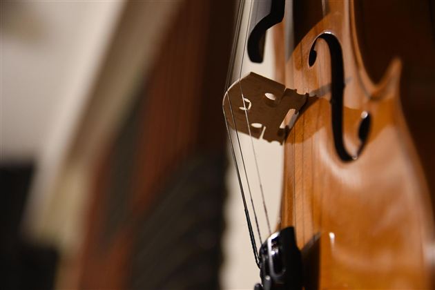 Eine Nahaufnahme einer Violine mit gut sichtbarer Saitenhalterung. Der Hintergrund zeigt unscharfe Details eines Raumes.