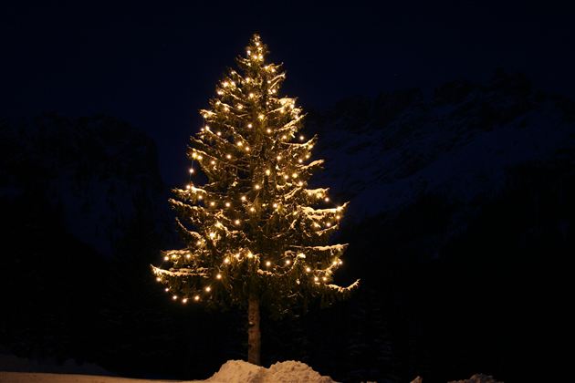 A festively lit Christmas tree stands in the darkness. Snow-covered mountains are visible in the background.