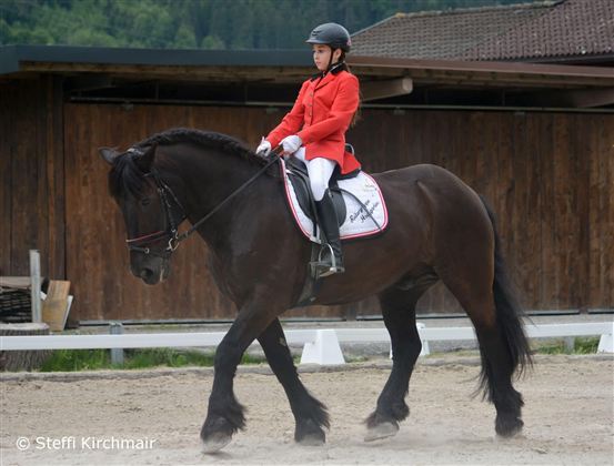 A rider in a red jacket is sitting on a black horse. The scene takes place in a dressage area with wooden buildings in the background.