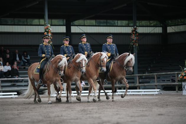 Dressurquadrille