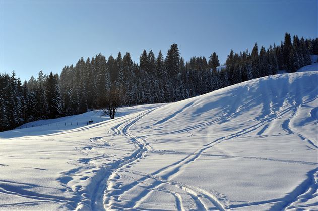 Winterwanderung @Dabernig