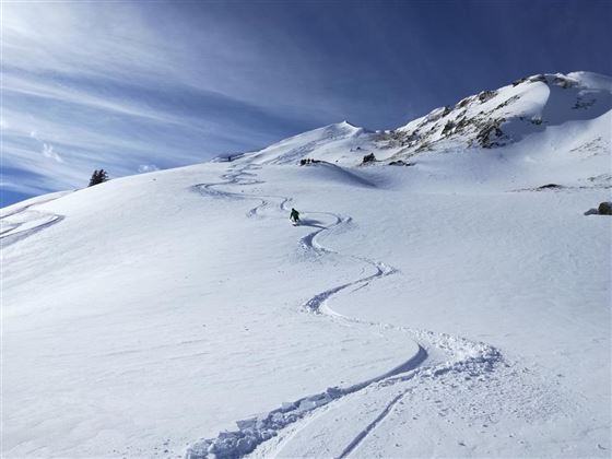 Freeride - Tiefschneevergnügen