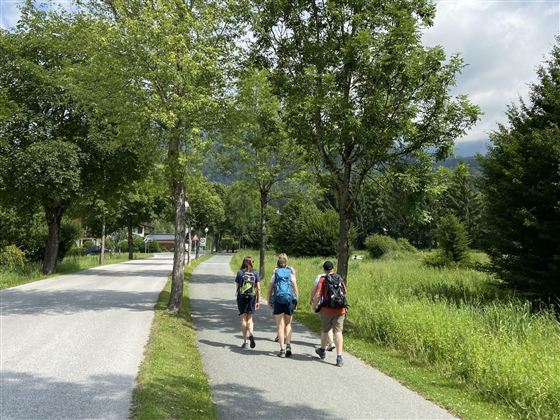 Drei Wanderer gehen einen schmalen Weg, der von Bäumen gesäumt ist. Die Umgebung ist grün und lädt zum Erkunden ein.
