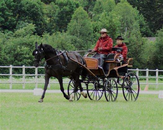 Gespannfahrer 1
