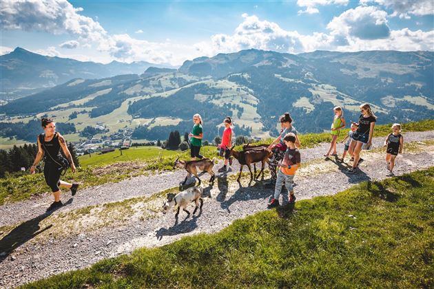 "Goas" Trekking mit Rätseltour2