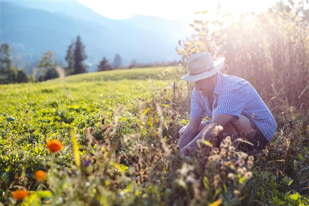 Ein Landwirt steht in einem Feld und überprüft die Pflanzen. Im Hintergrund sind Bäume und sanfte Hügel zu sehen.