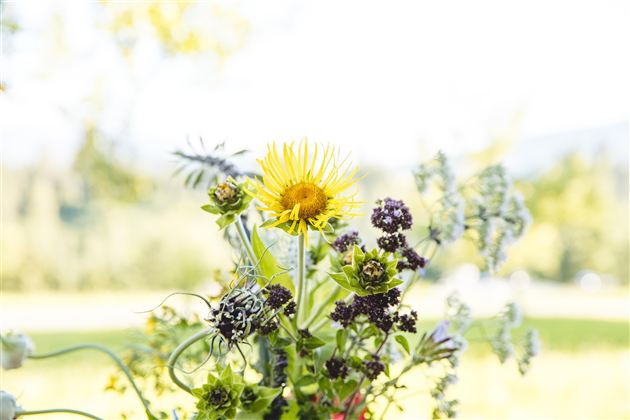 Eine Person hält ein kleines, grünes Fläschchen mit der Aufschrift "GONIGER". Eine andere Person nimmt es entgegen.