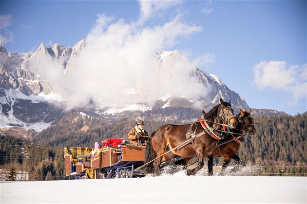 Eine Pferdeschlittenfahrt durch eine verschneite Landschaft. Im Hintergrund sind beeindruckende Berge und ein blauer Himmel zu sehen.