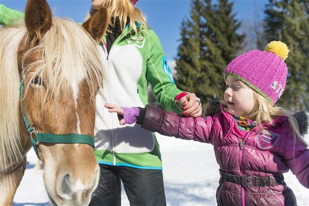 Ein kleines Mädchen in einem warmen Anzug interagiert mit einem Pferd auf einem schneebedeckten Feld. Im Hintergrund sind Bäume und blauer Himmel sichtbar.