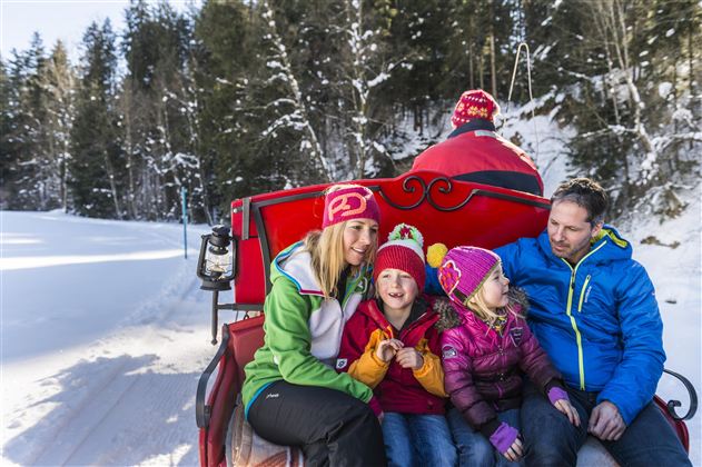 Eine Familie sitzt in einer Pferdeschlittenfahrt im Schnee. Umgeben von verschneiten Bäumen genießen sie die Winterlandschaft.