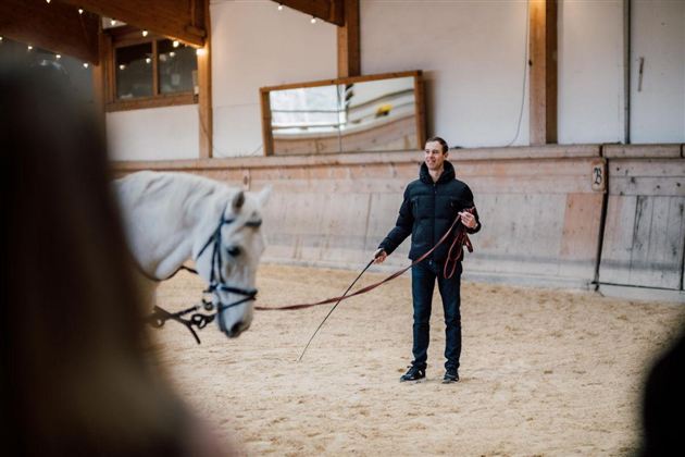 Eine Person steht in einer Reithalle und hält ein Pferd mit einer langen Leine. Der Boden ist mit Sand bedeckt und es gibt große Fenster, die Tageslicht hereinlassen.
