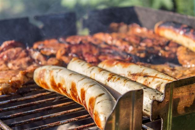 Grillen@pixabay