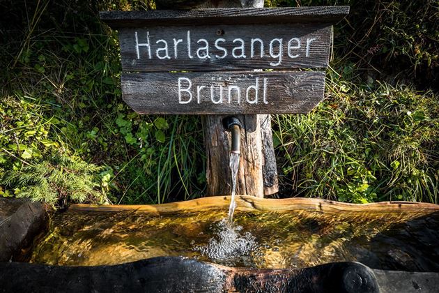 Harlassanger Bründl