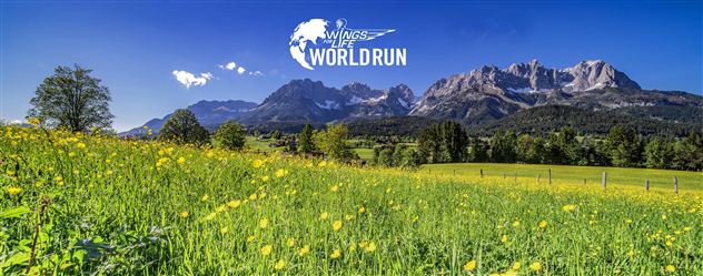 Ein schöner, blühender Feld mit gelben Blumen im Vordergrund und majestätischen Bergen im Hintergrund. Der Himmel ist klar und blau, ideal für einen Outdoor-Event.