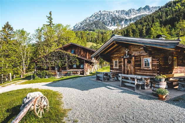 Ein malerisches Almdorf mit traditionellen Holzhäusern. Im Hintergrund sind grüne Wälder und schneebedeckte Berge zu sehen.