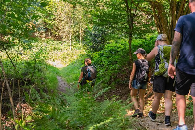 Immunbooster Wald (c)Larissa Weiskopf