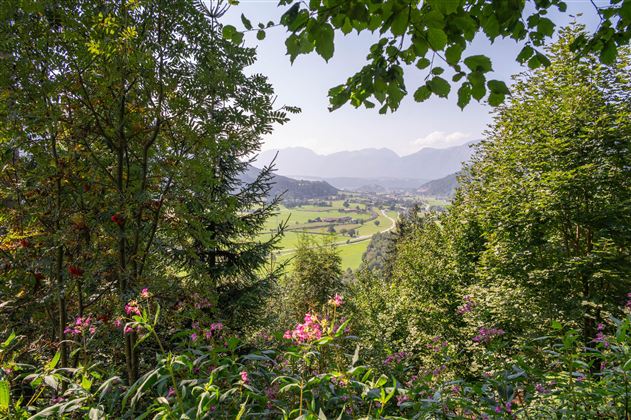 Klidná krajina s zelenými stromy a barevnými květinami. V pozadí jsou vidět jemné kopce a hory.