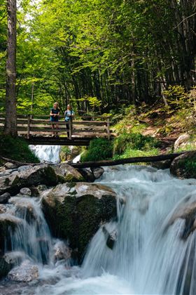 Ein klarer Bach fließt über Felsen in einem Waldgebiet. Zwei Personen stehen auf einer Holzbrücke und genießen die Natur.