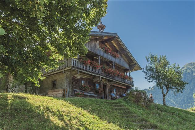 Köpfinghof