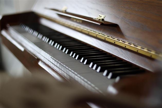 Konzert Bibliothek