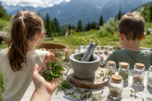 Kräuterabenteuer Aschinger Alm