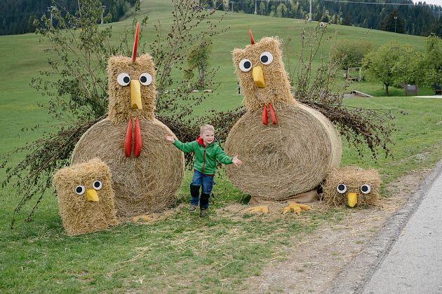Kükenwochen Hexenwasser Söll_(c)Florian Egger (3).jpg
