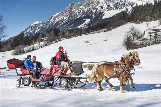 Kutschenfahren am Wilden Kaiser