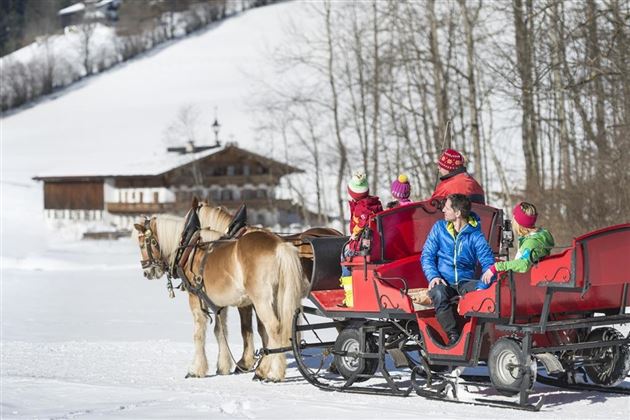 Kutschenfahren im Winter