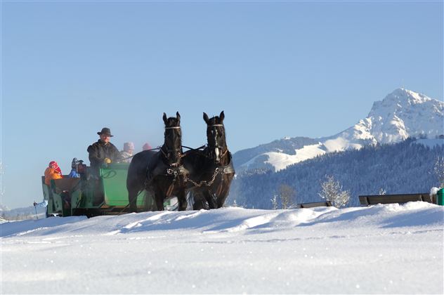 Eine Pferdeschlittenfahrt im verschneiten Winterlandschaft. Im Hintergrund sind Berge unter klarem Himmel sichtbar.