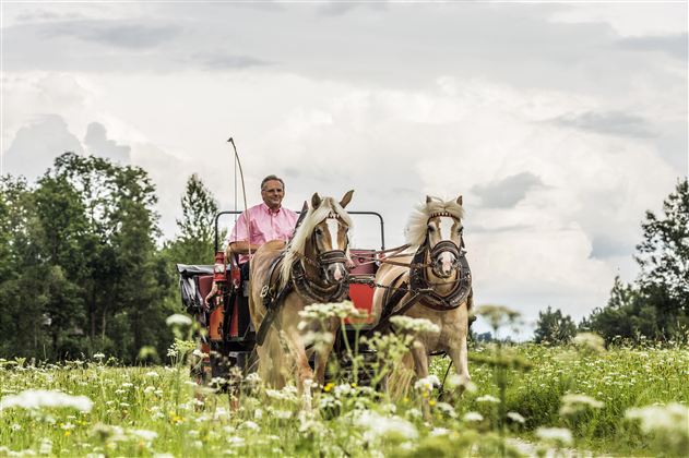 Ein Mann fährt mit einer Pferdekutsche über eine grüne Wiese. Im Hintergrund sind Bäume und ein bewölkter Himmel zu sehen.