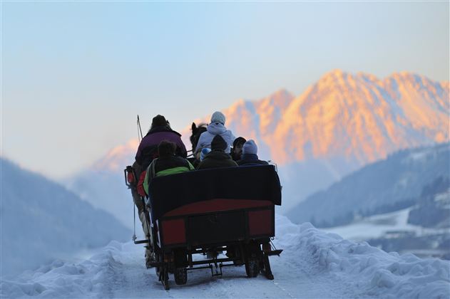 Eine Pferdeschlittenfahrt durch verschneite Landschaften. Im Hintergrund sind majestätische Berge und ein klarer Himmel zu sehen.