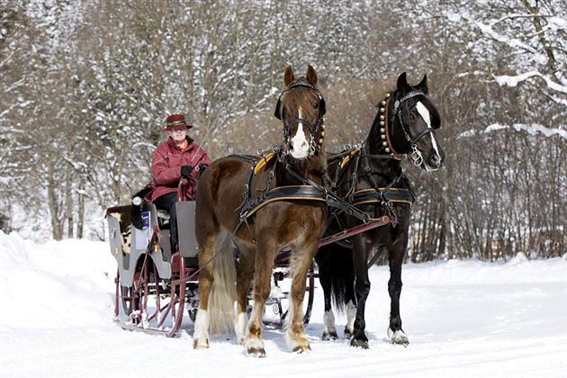 Kutschenfahrt Winter