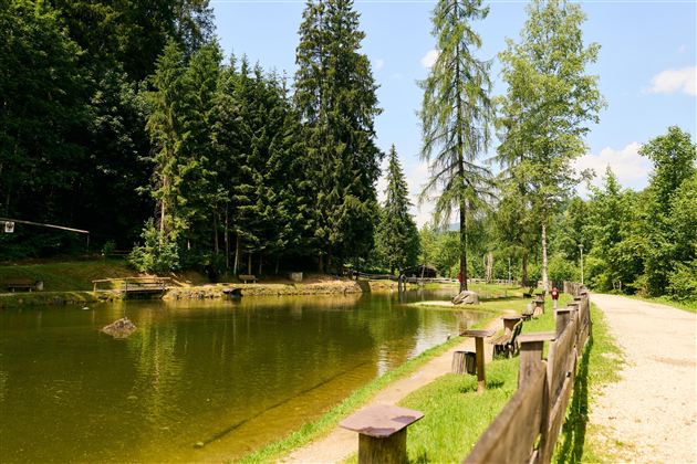 Ein ruhiger Teich umgeben von Bäumen und üppigem Grün. Ein Weg führt neben dem Wasser entlang, ideal für Spaziergänge in der Natur.