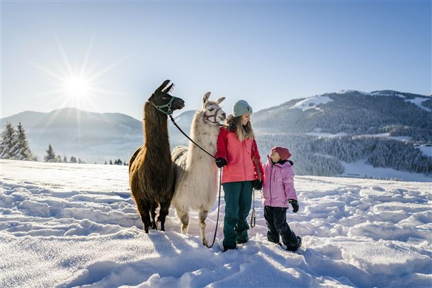 Lama Trekking1