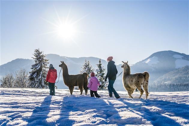 Lama Trekking2